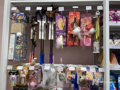 寵物用品公司沖刺A股 貼牌出口占主導(dǎo)，過半狗繩依賴外協(xié)生產(chǎn)