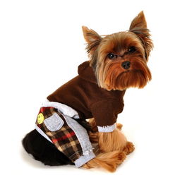 狗狗冬裝棉衣 貝寵寵物用品優質商家指南