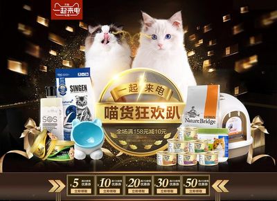 寵物用品 關(guān)愛伴侶的溫馨選擇