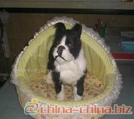 寵物用品庫存管理全攻略 為愛寵備足糧草，讓經(jīng)營(yíng)更從容